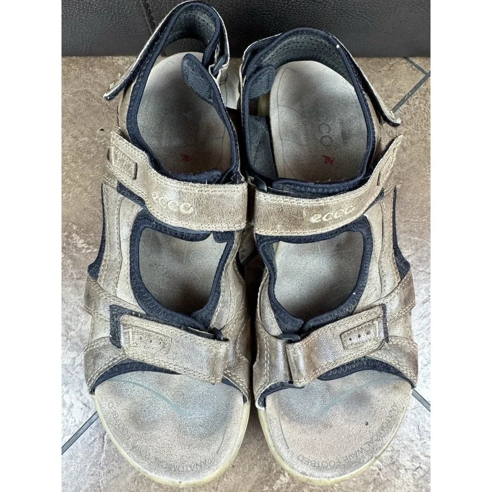 Ecco yucatan men